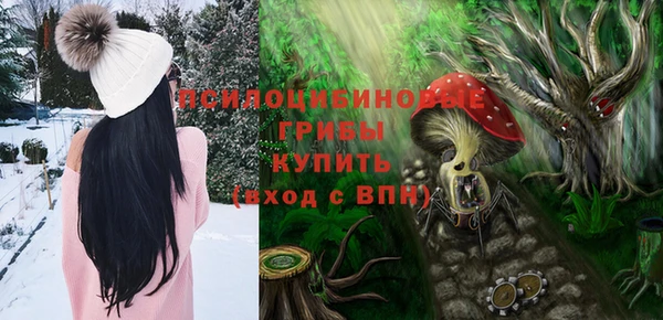 прущие грибы Алексин