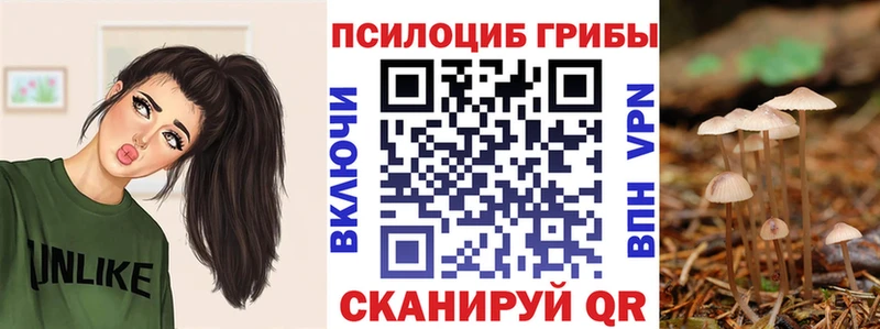 Псилоцибиновые грибы прущие грибы  где найти   Елец 